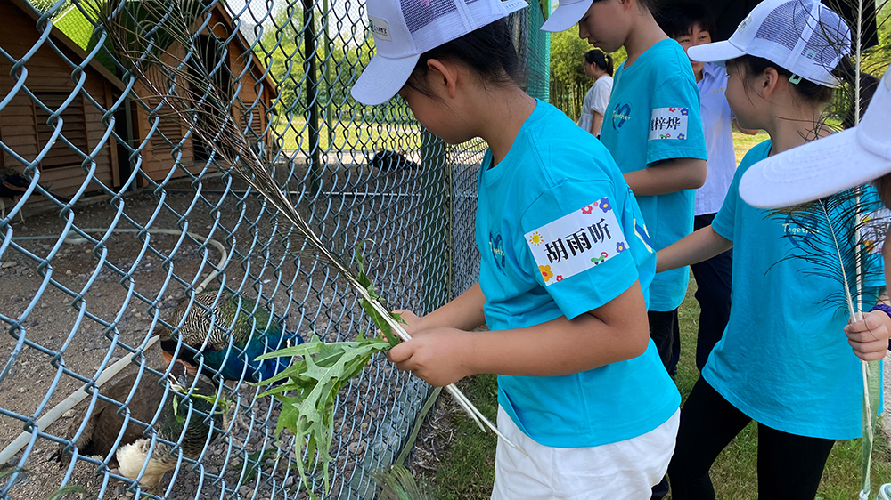 动植物观赏区.jpg