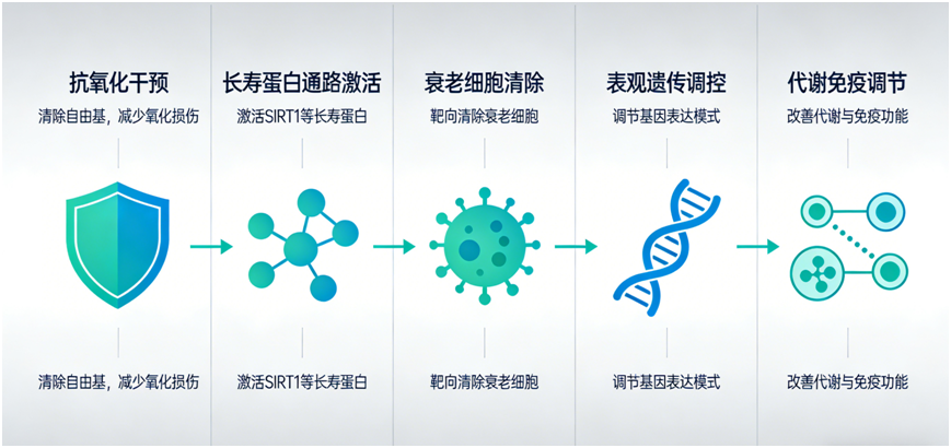 1773634790860996rKsP.png image.png