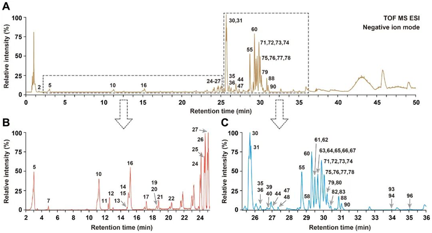 1773635047251439wFJ1.png image.png