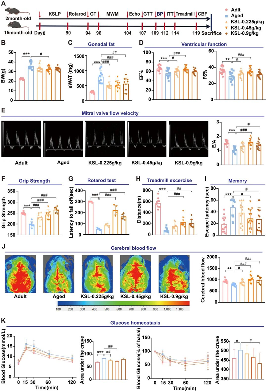 1773635105475012fVPB.png image.png