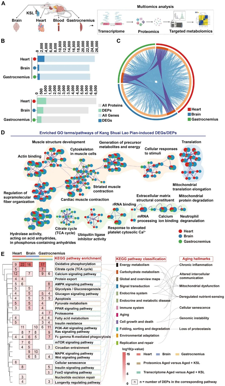 1773635214571737Wuky.png image.png