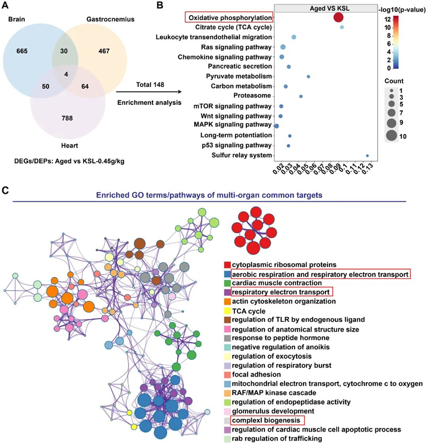1773635338225269fPDr.png image.png