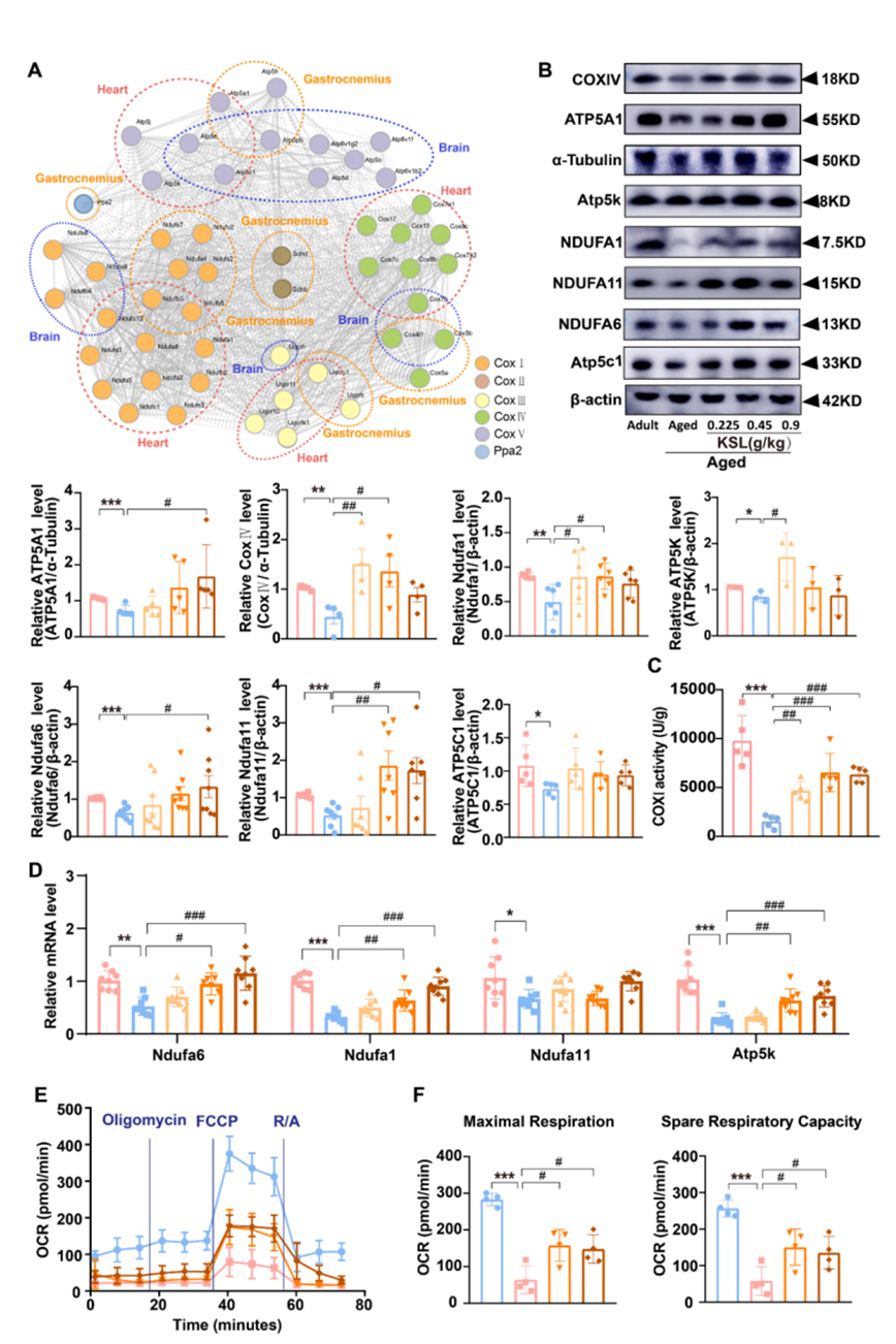 1773635412793728xGft.png image.png