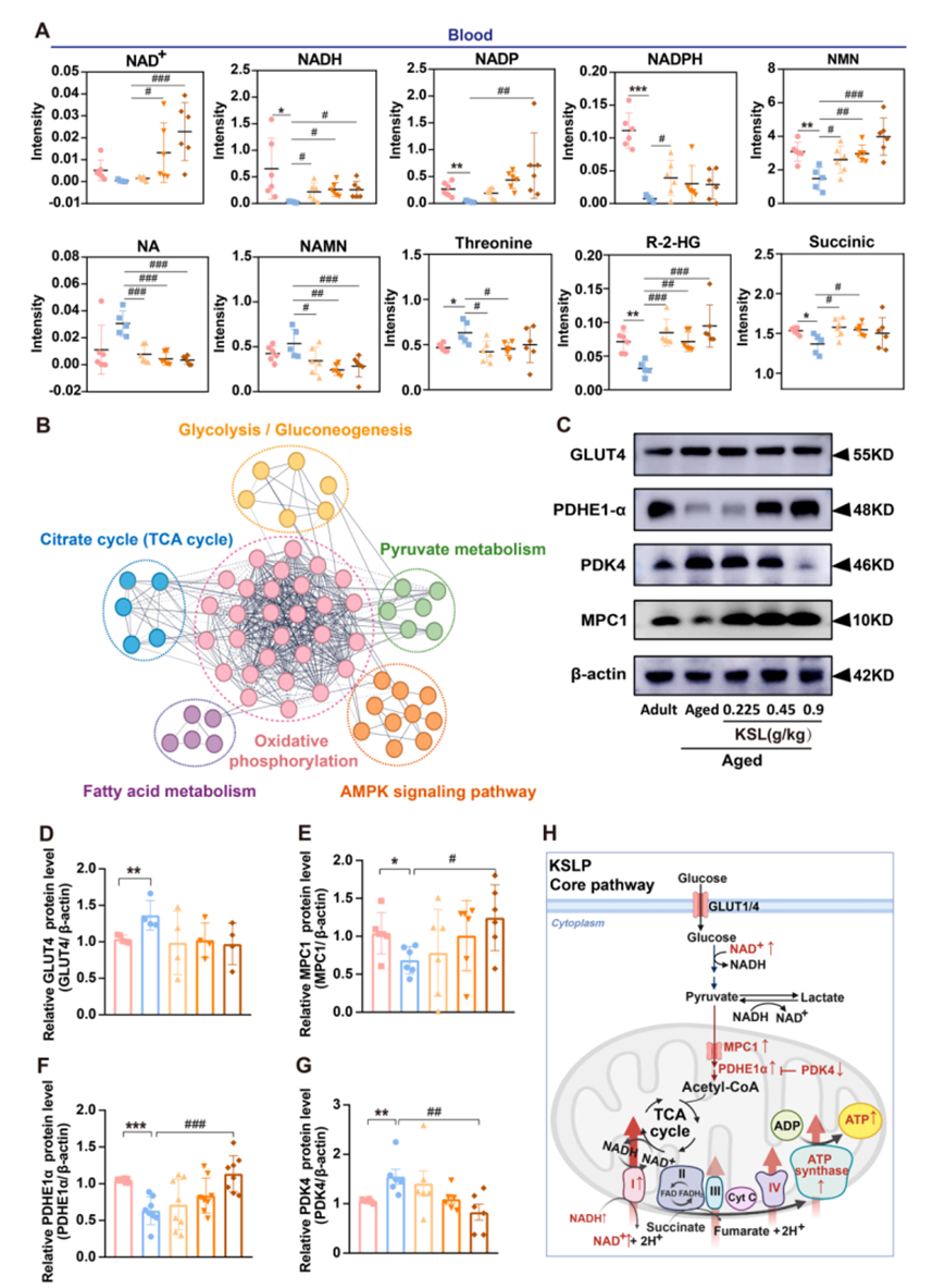 1773635474404619pXkU.png image.png