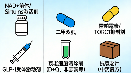 17749342019931556UrX.png image.png