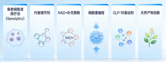 17749373761289021zhm.png image.png